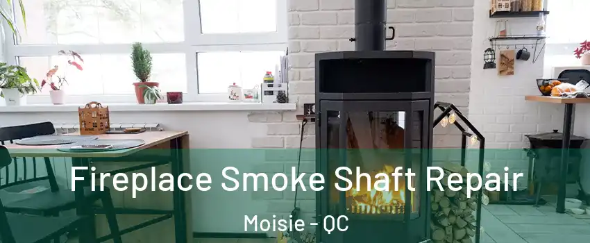  Fireplace Smoke Shaft Repair Moisie - QC