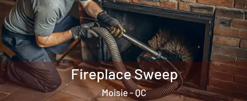  Fireplace Sweep Moisie - QC
