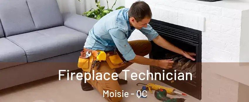Fireplace Technician Moisie - QC