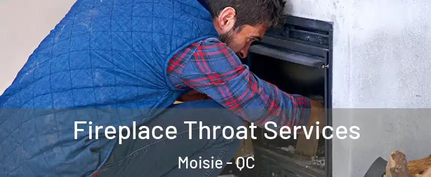  Fireplace Throat Services Moisie - QC