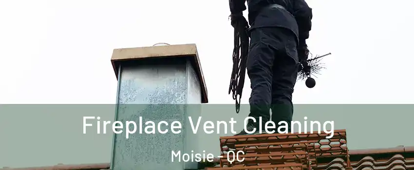  Fireplace Vent Cleaning Moisie - QC