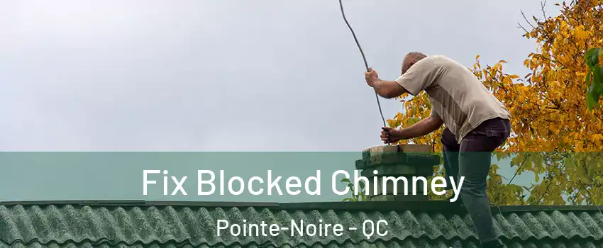  Fix Blocked Chimney Pointe-Noire - QC