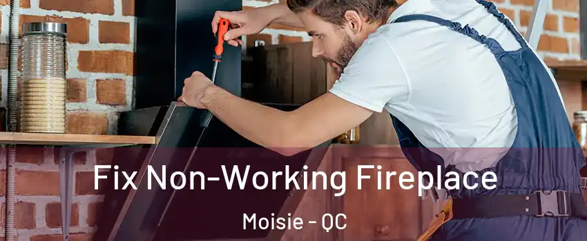  Fix Non-Working Fireplace Moisie - QC