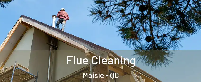  Flue Cleaning Moisie - QC