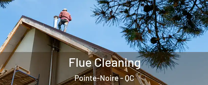  Flue Cleaning Pointe-Noire - QC