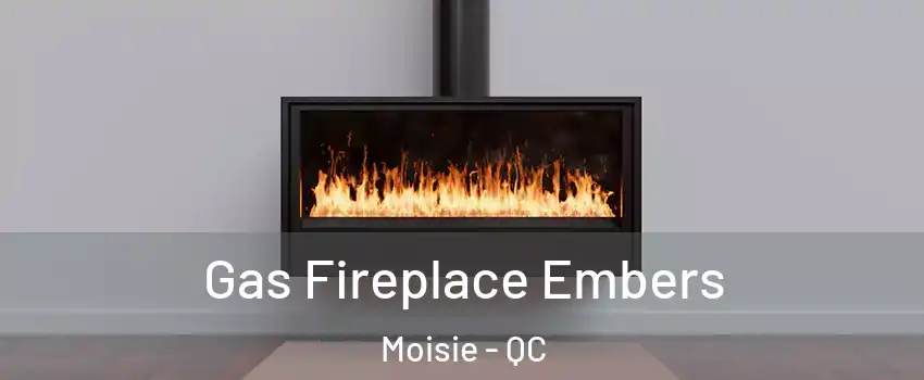  Gas Fireplace Embers Moisie - QC