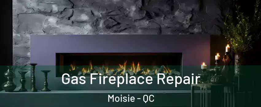  Gas Fireplace Repair Moisie - QC