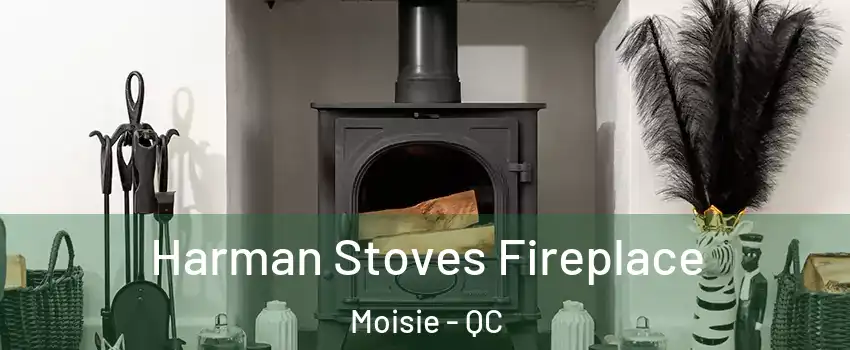  Harman Stoves Fireplace Moisie - QC
