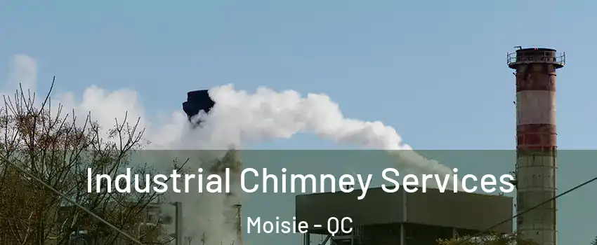  Industrial Chimney Services Moisie - QC