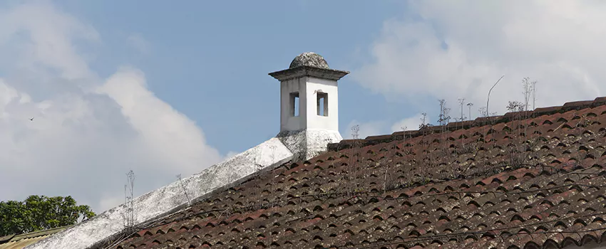 Wind-Resistant Chimney Caps Installation and Repair Services in Plage Monaghan, Quebec
