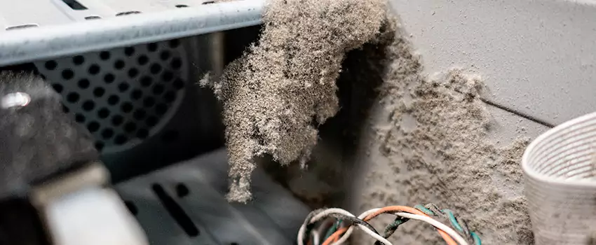 Clogged Dryer Vent Lint Cleaning in Sept Iles, Quebec
