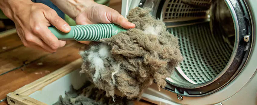 Best Dryer Lint Removal Company in Sept Iles, Quebec