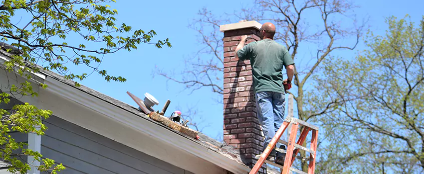 Chimney And Flue Brush Cleaning in Plage Monaghan, Quebec