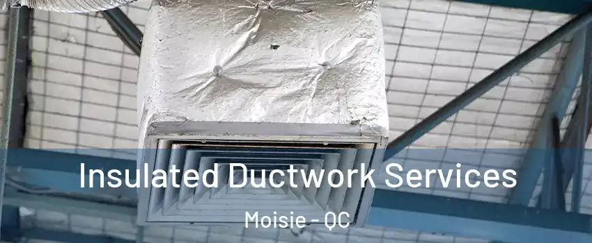  Insulated Ductwork Services Moisie - QC