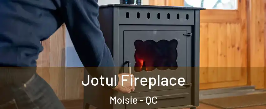  Jotul Fireplace Moisie - QC