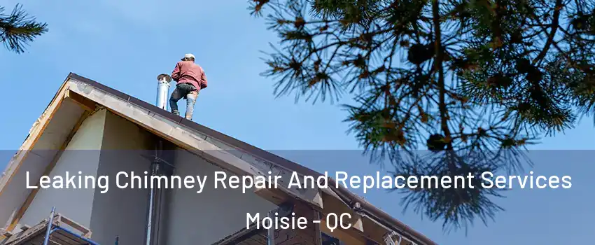  Leaking Chimney Repair And Replacement Services Moisie - QC