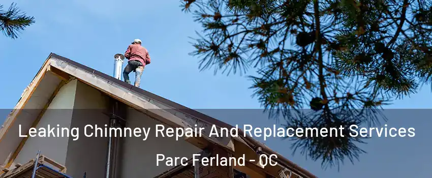  Leaking Chimney Repair And Replacement Services Parc Ferland - QC