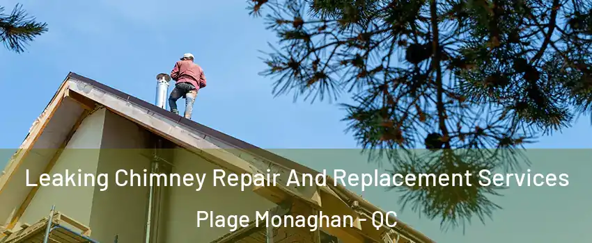  Leaking Chimney Repair And Replacement Services Plage Monaghan - QC