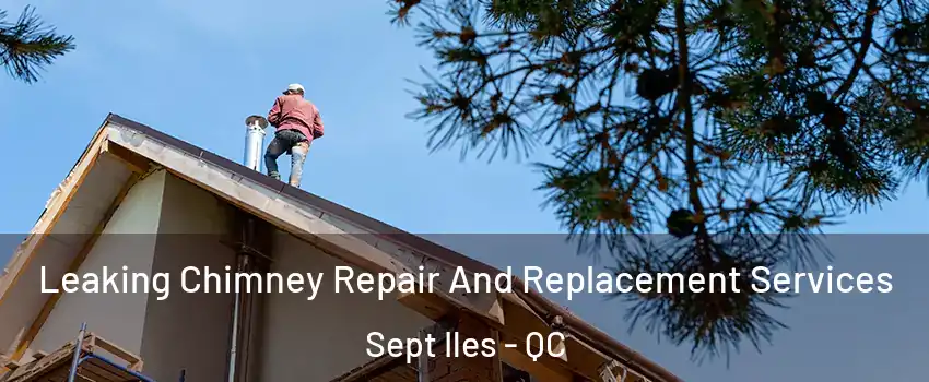  Leaking Chimney Repair And Replacement Services Sept Iles - QC