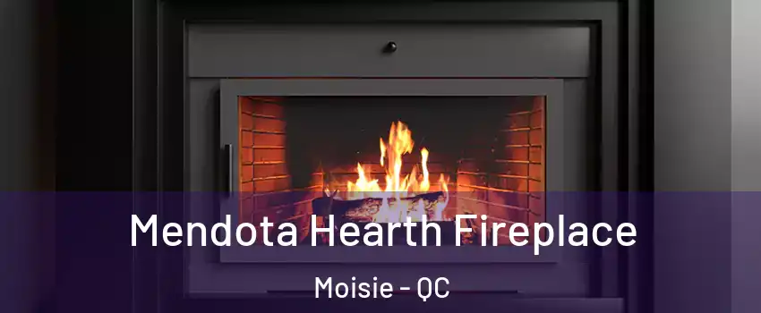 Mendota Hearth Fireplace Moisie - QC