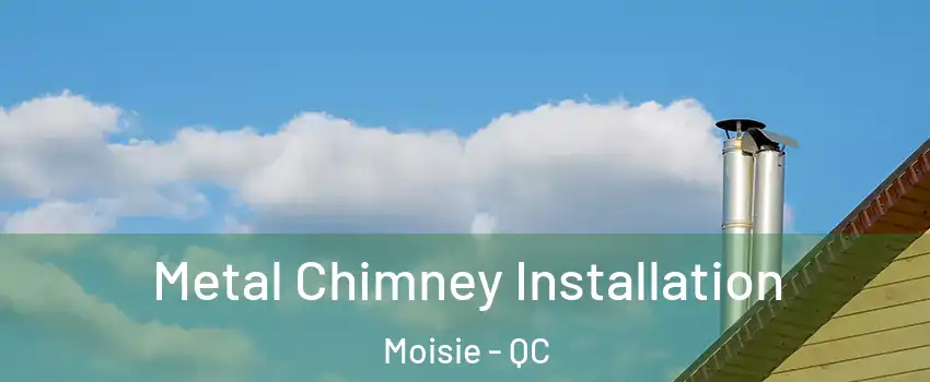  Metal Chimney Installation Moisie - QC