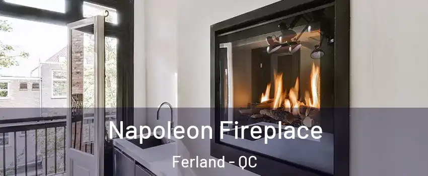  Napoleon Fireplace Ferland - QC
