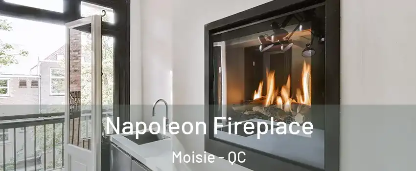  Napoleon Fireplace Moisie - QC
