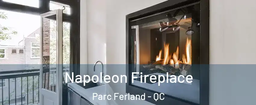  Napoleon Fireplace Parc Ferland - QC