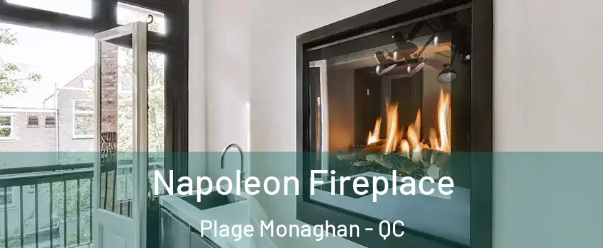  Napoleon Fireplace Plage Monaghan - QC