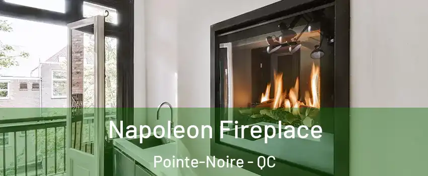  Napoleon Fireplace Pointe-Noire - QC