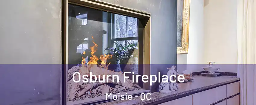  Osburn Fireplace Moisie - QC
