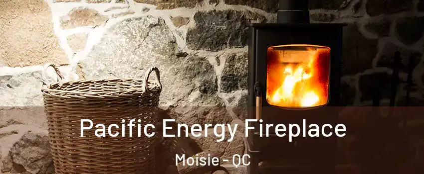  Pacific Energy Fireplace Moisie - QC