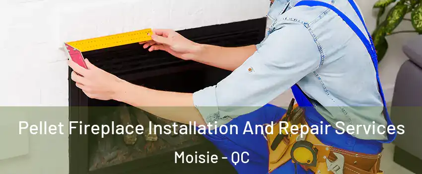  Pellet Fireplace Installation And Repair Services Moisie - QC