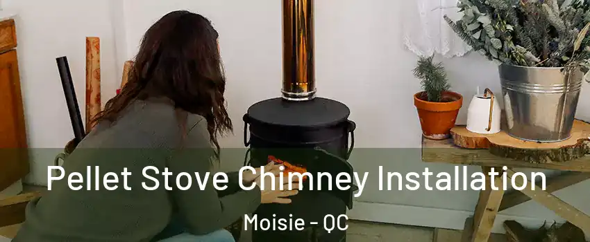  Pellet Stove Chimney Installation Moisie - QC