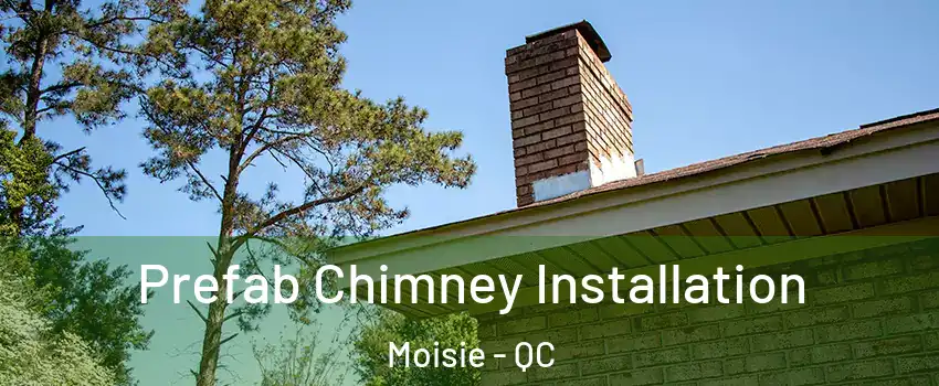  Prefab Chimney Installation Moisie - QC