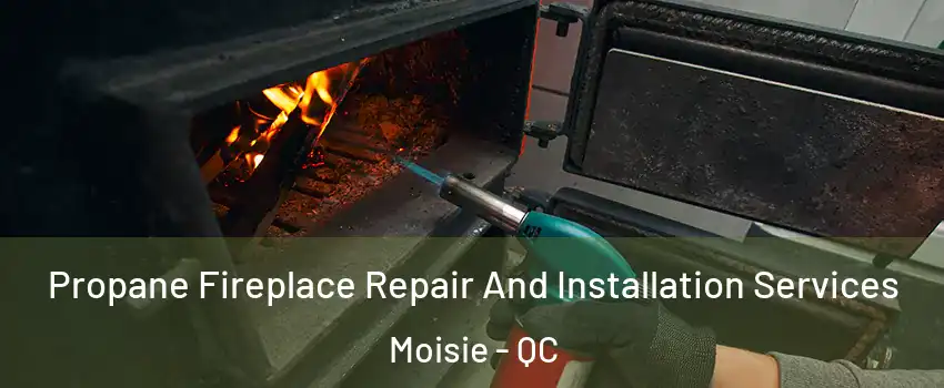 Propane Fireplace Repair And Installation Services Moisie - QC