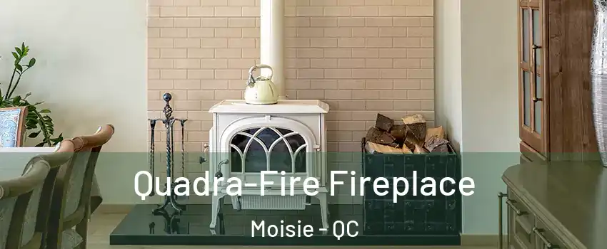  Quadra-Fire Fireplace Moisie - QC