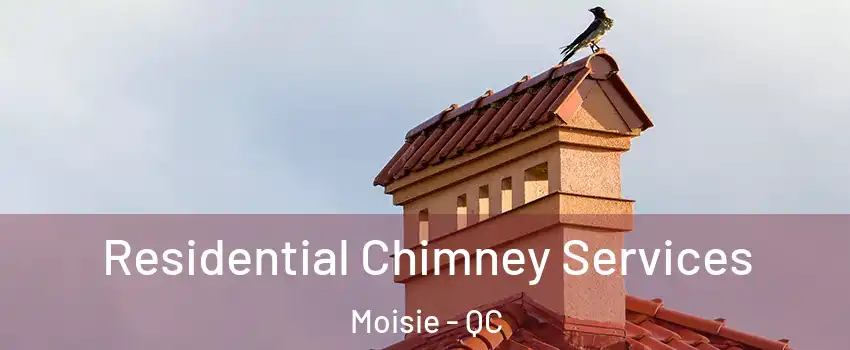  Residential Chimney Services Moisie - QC