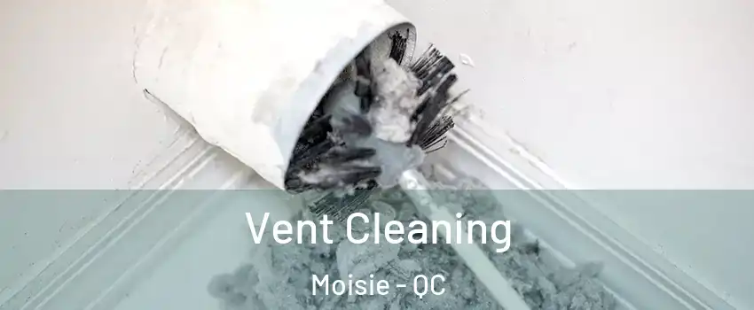  Vent Cleaning Moisie - QC