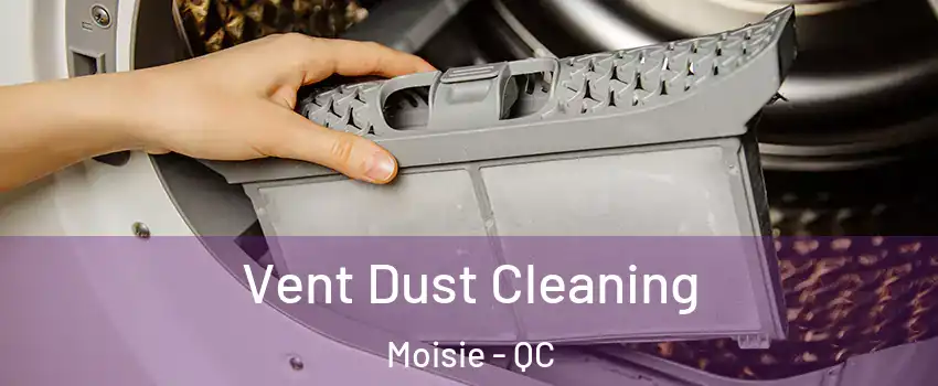  Vent Dust Cleaning Moisie - QC