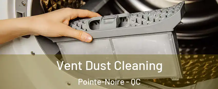  Vent Dust Cleaning Pointe-Noire - QC