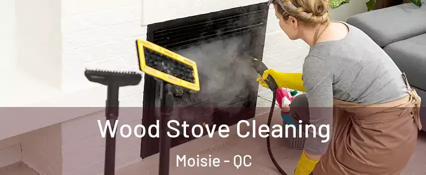  Wood Stove Cleaning Moisie - QC