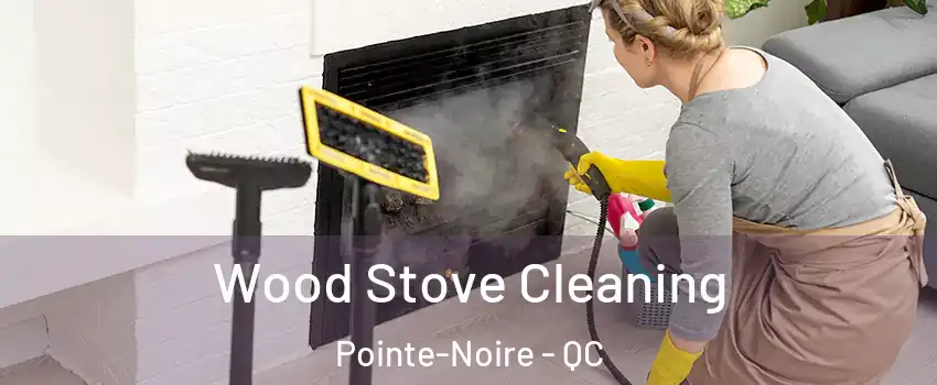  Wood Stove Cleaning Pointe-Noire - QC