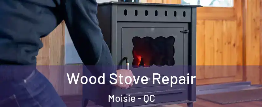  Wood Stove Repair Moisie - QC